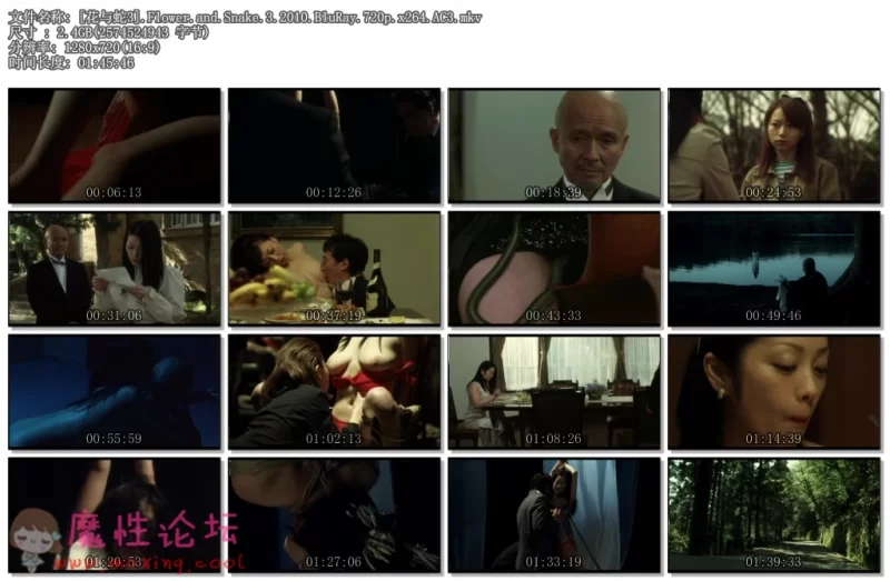 [花与蛇3].Flower.and.Snake.3.2010.BluRay.720p.x264.AC3.mkv.jpg